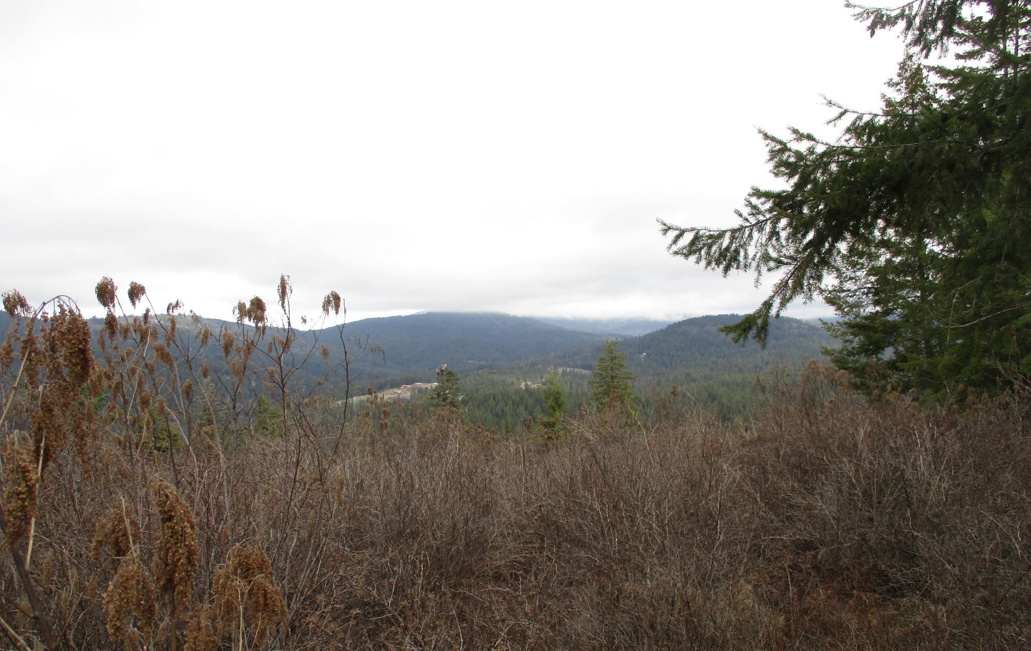 18xxx E Miner Rd - Photo 22