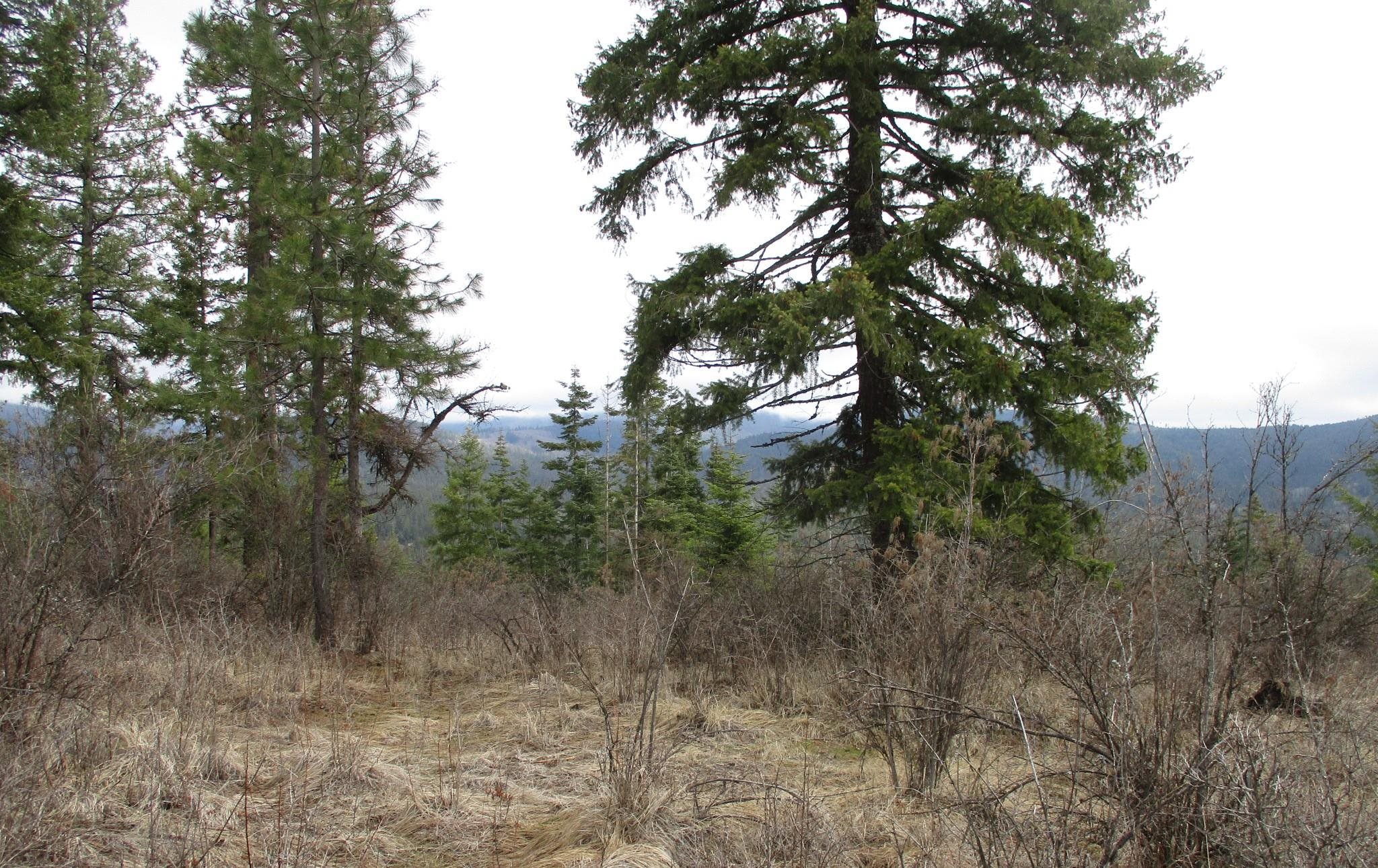 18xxx E Miner Rd - Photo 24
