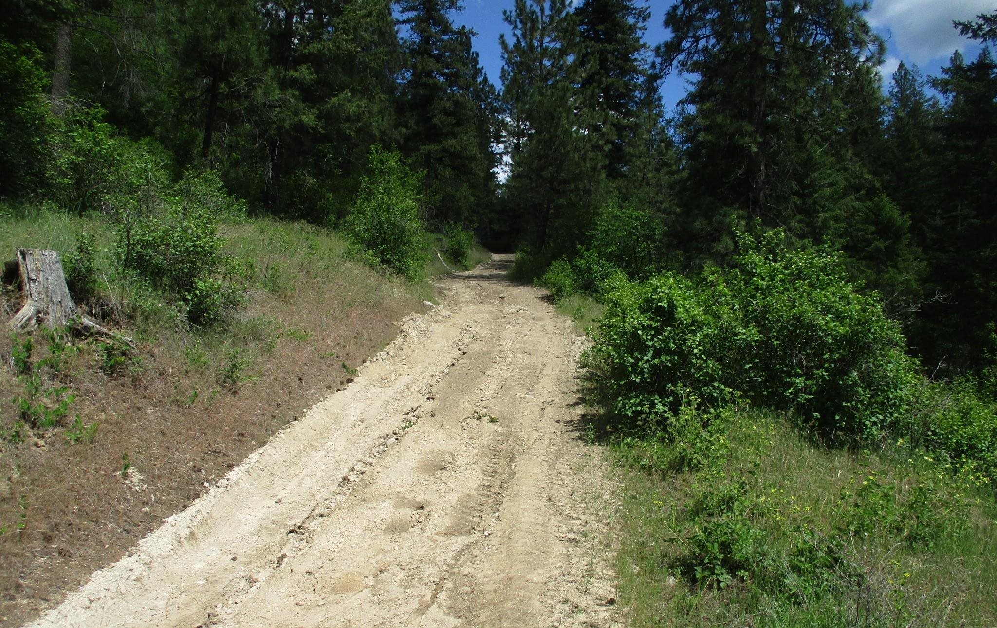 18xxx E Miner Rd - Photo 39