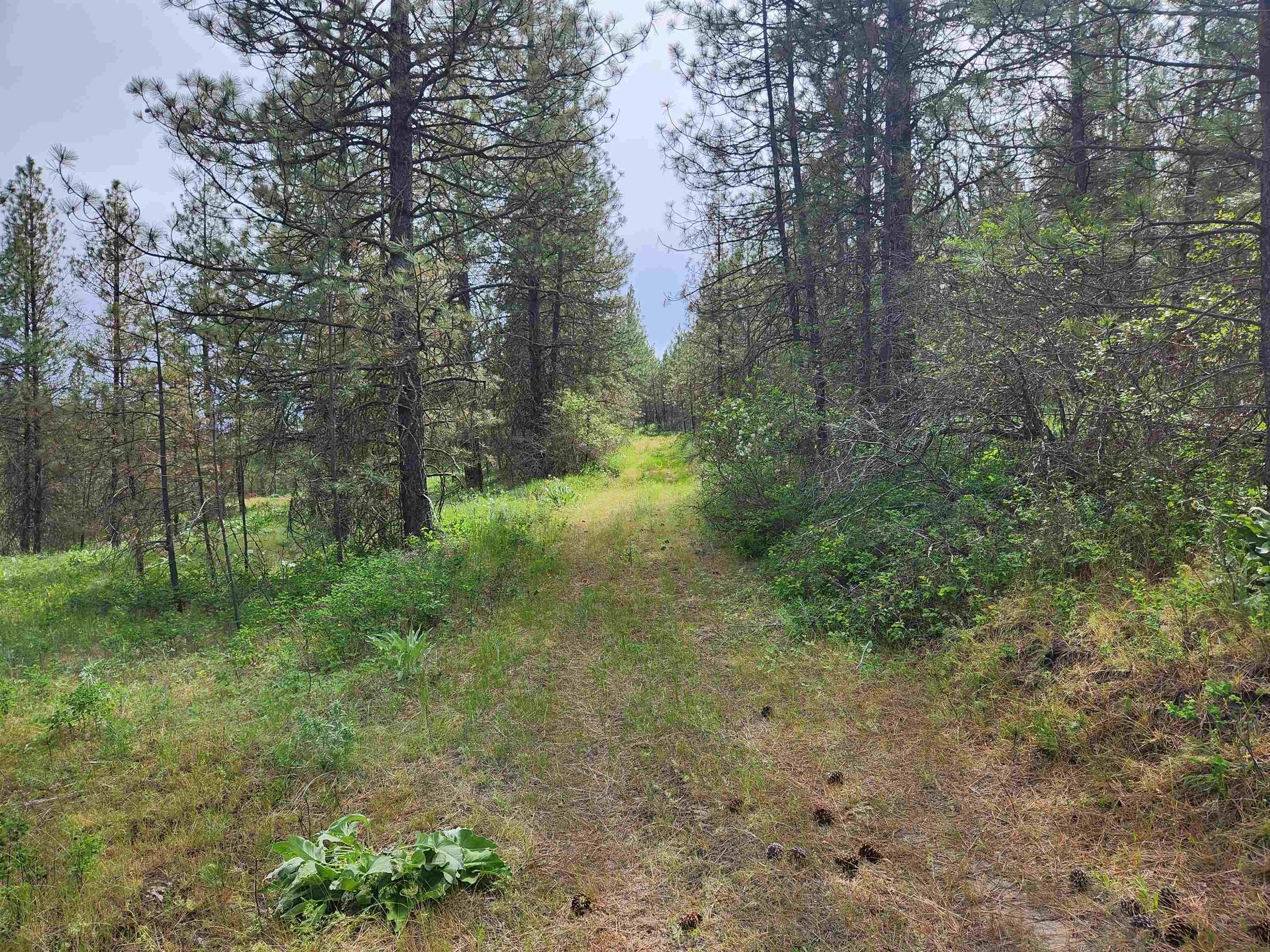 6269 Miller Mountain Rd - Photo 1