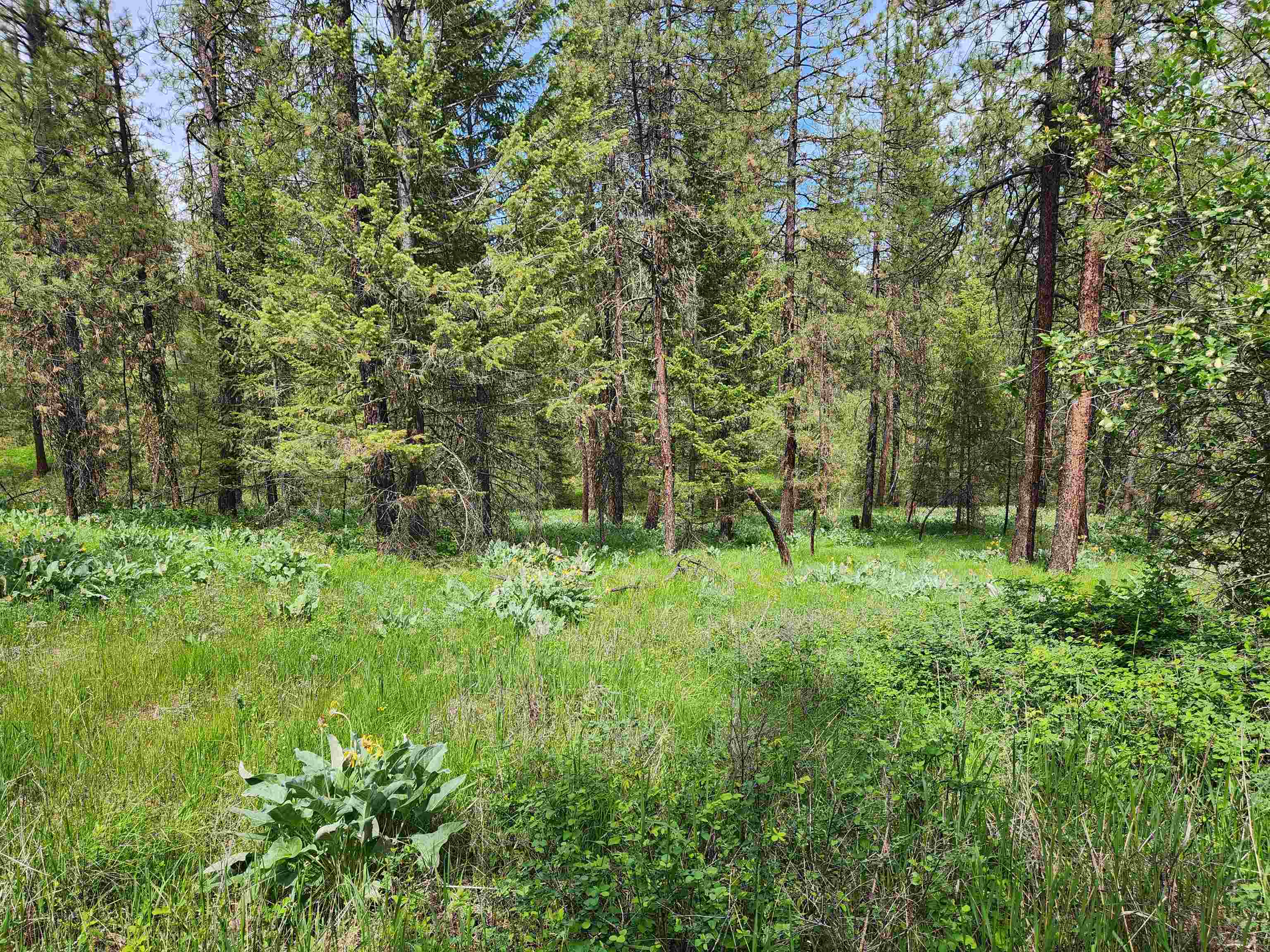 6269 Miller Mountain Rd - Photo 2