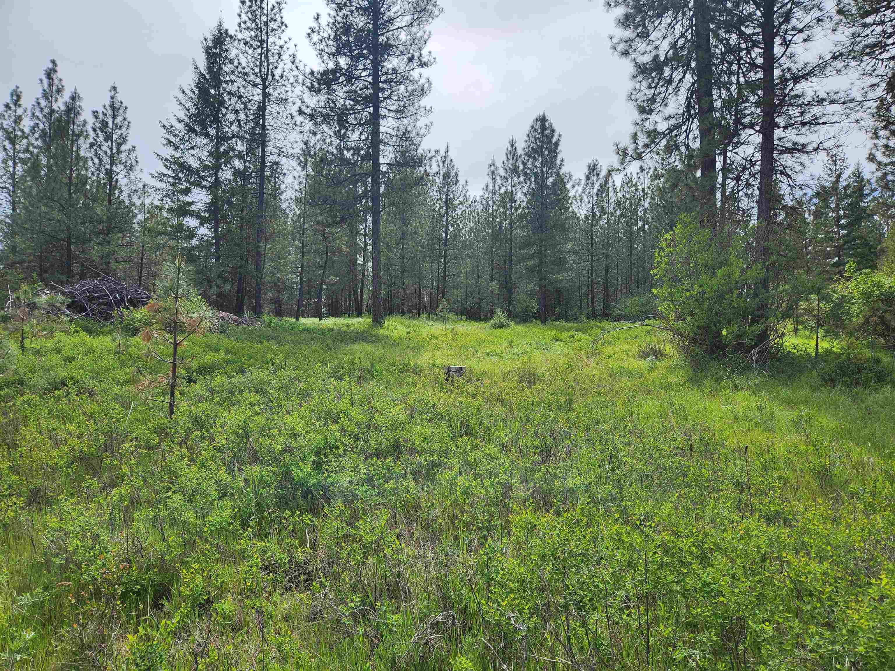 6269 Miller Mountain Rd - Photo 4