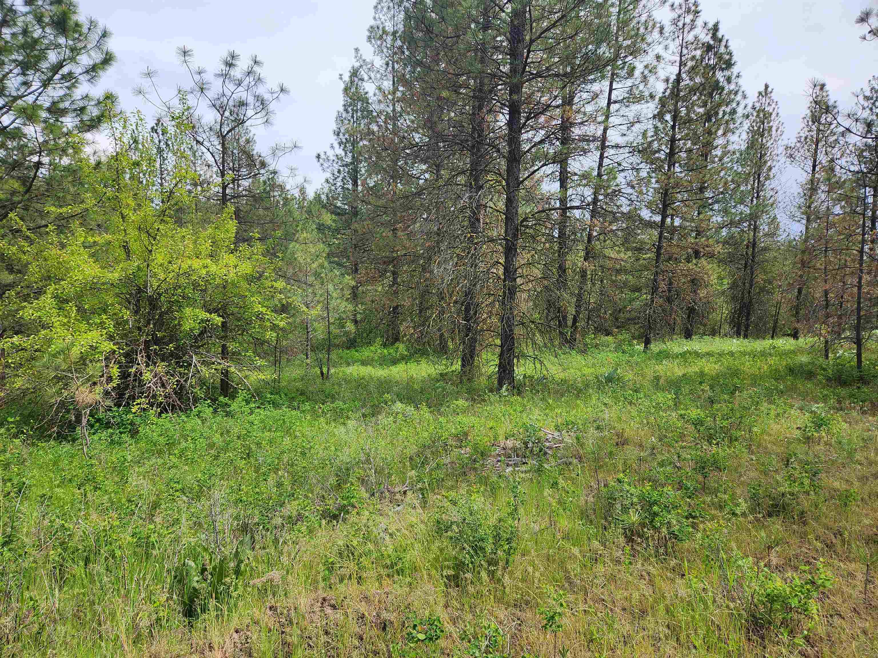 6269 Miller Mountain Rd - Photo 5