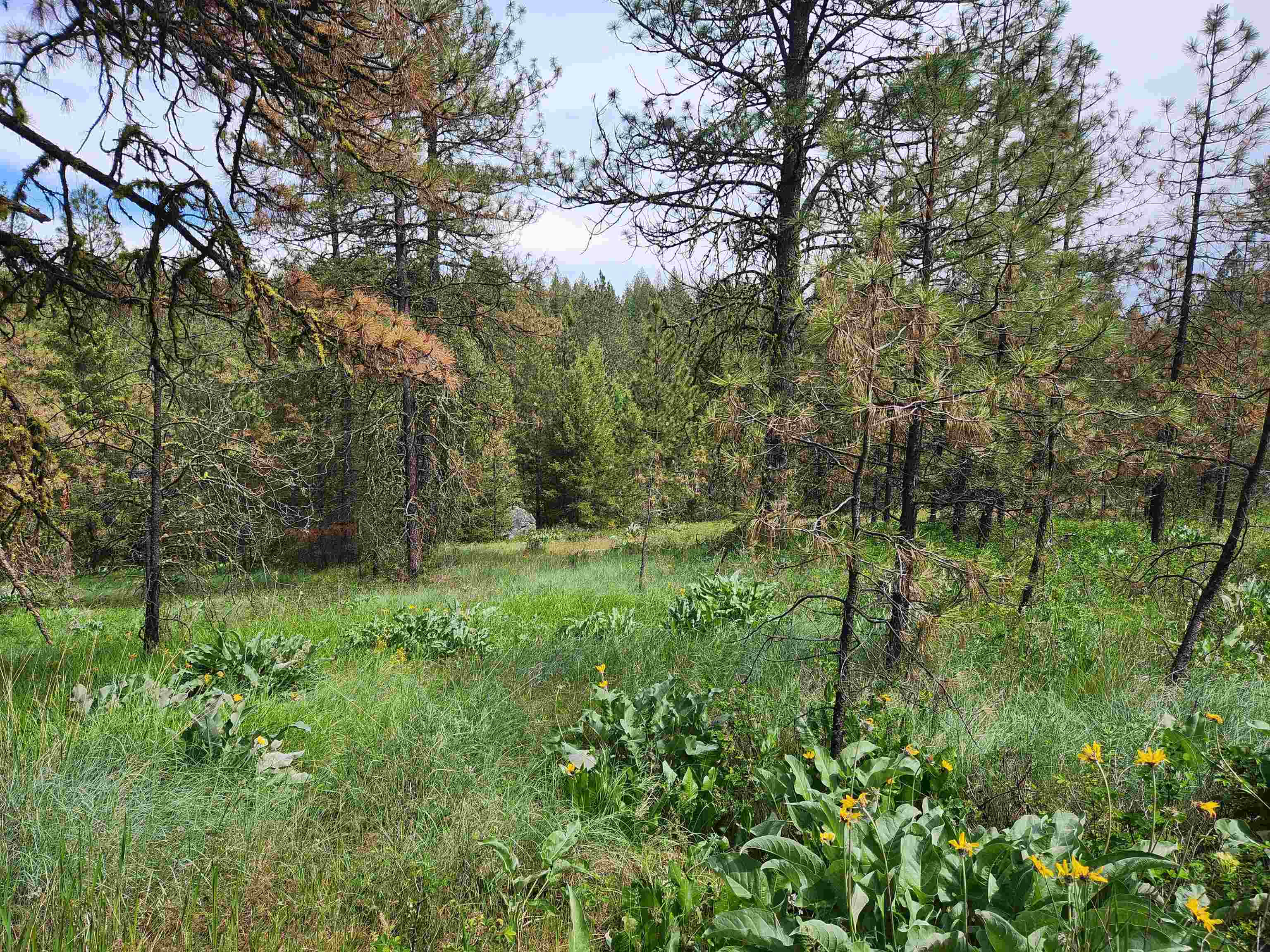 6269 Miller Mountain Rd - Photo 6