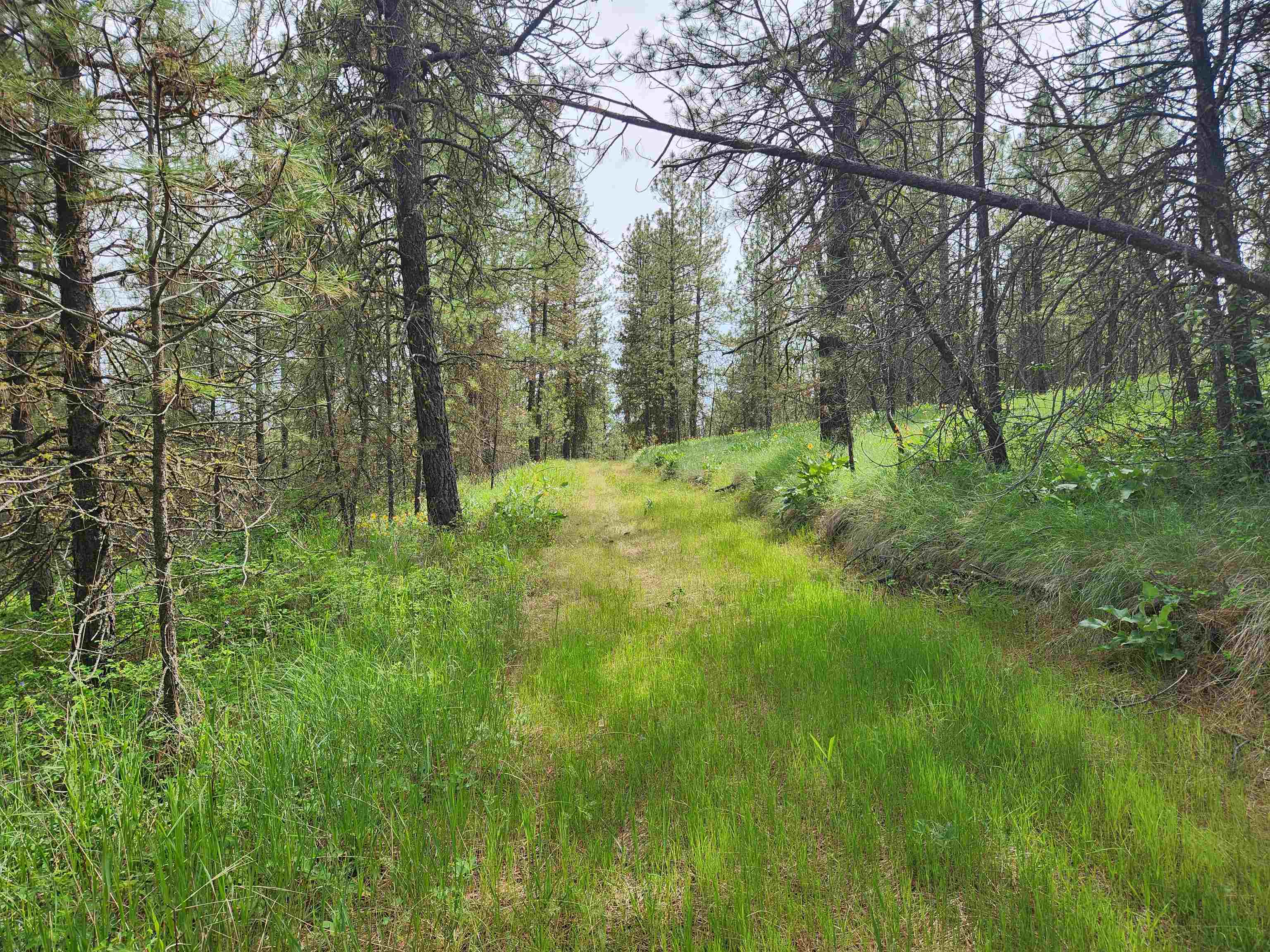 6269 Miller Mountain Rd - Photo 7
