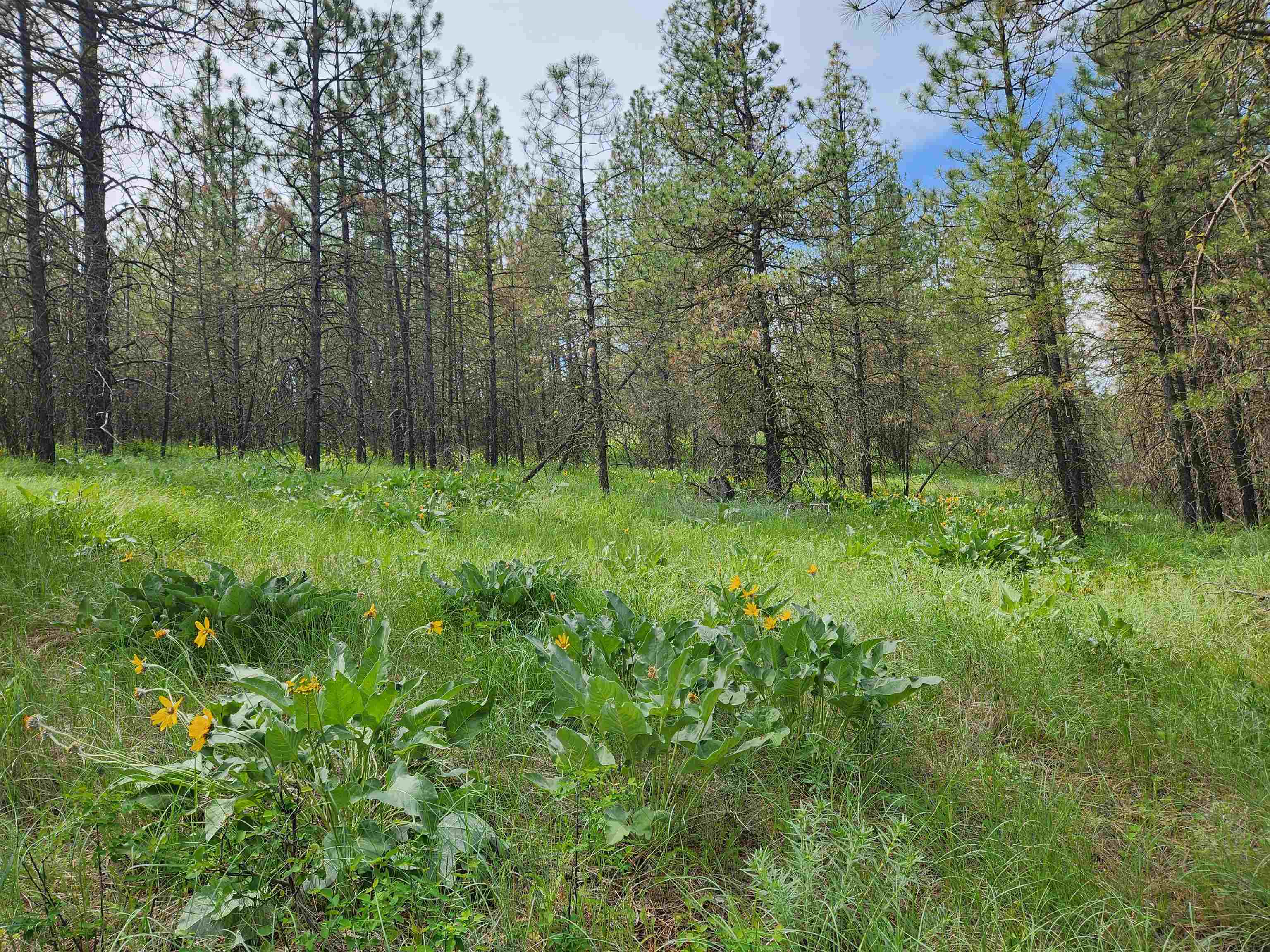 6269 Miller Mountain Rd - Photo 8
