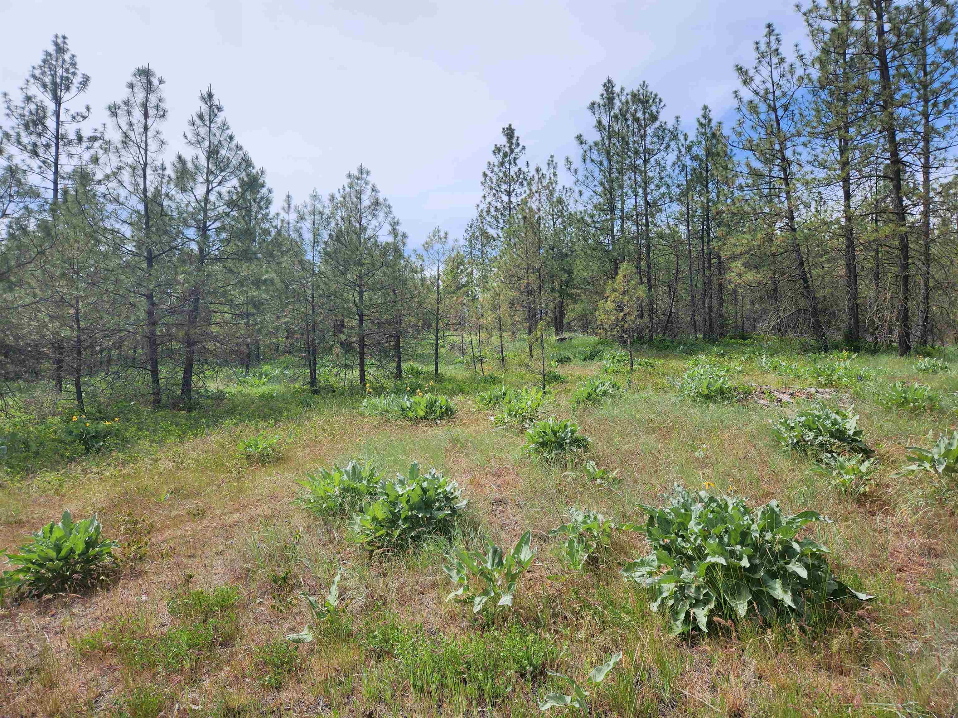 6269 Miller Mountain Rd - Photo 9