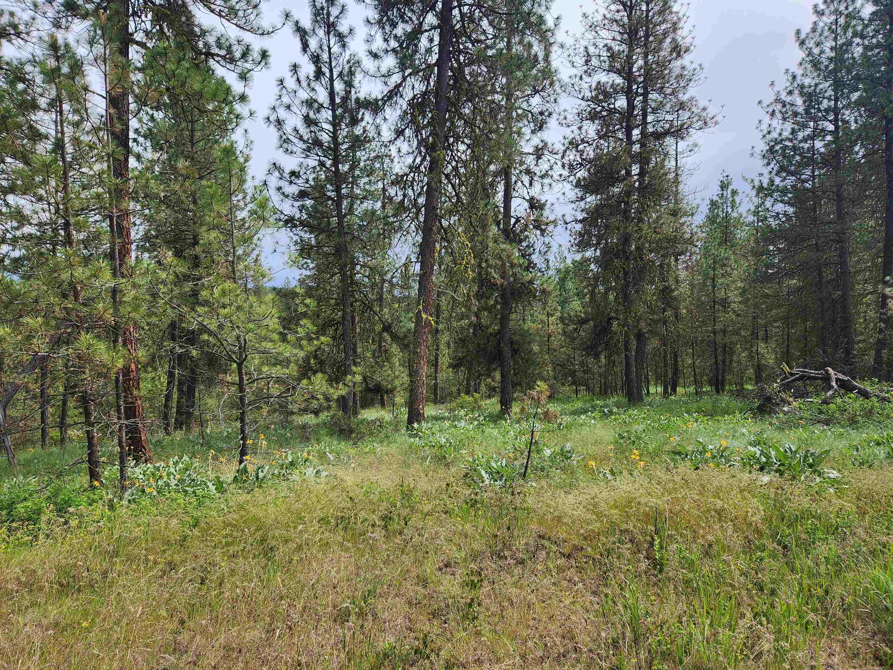 6269 Miller Mountain Rd - Photo 10