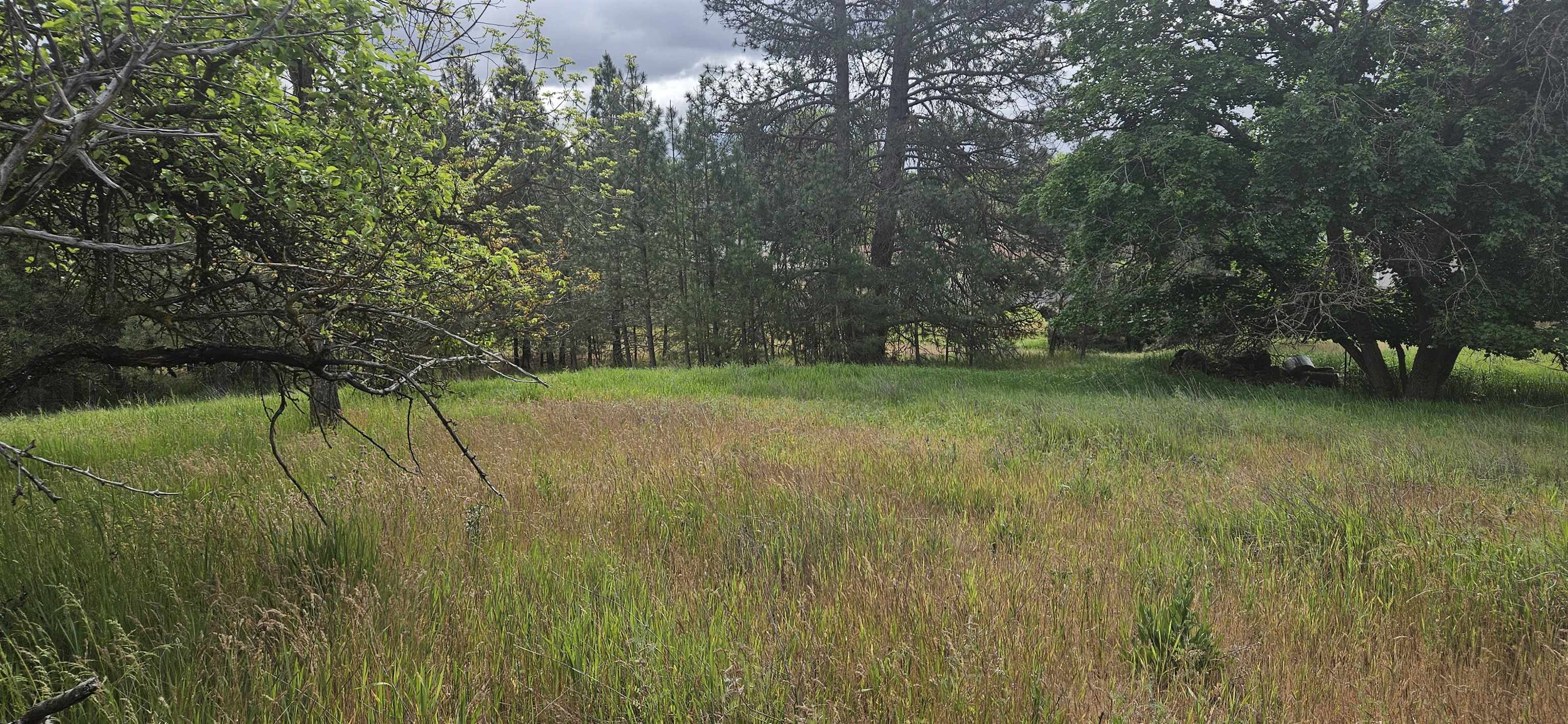 612 W Ivanhoe Rd - Photo 1