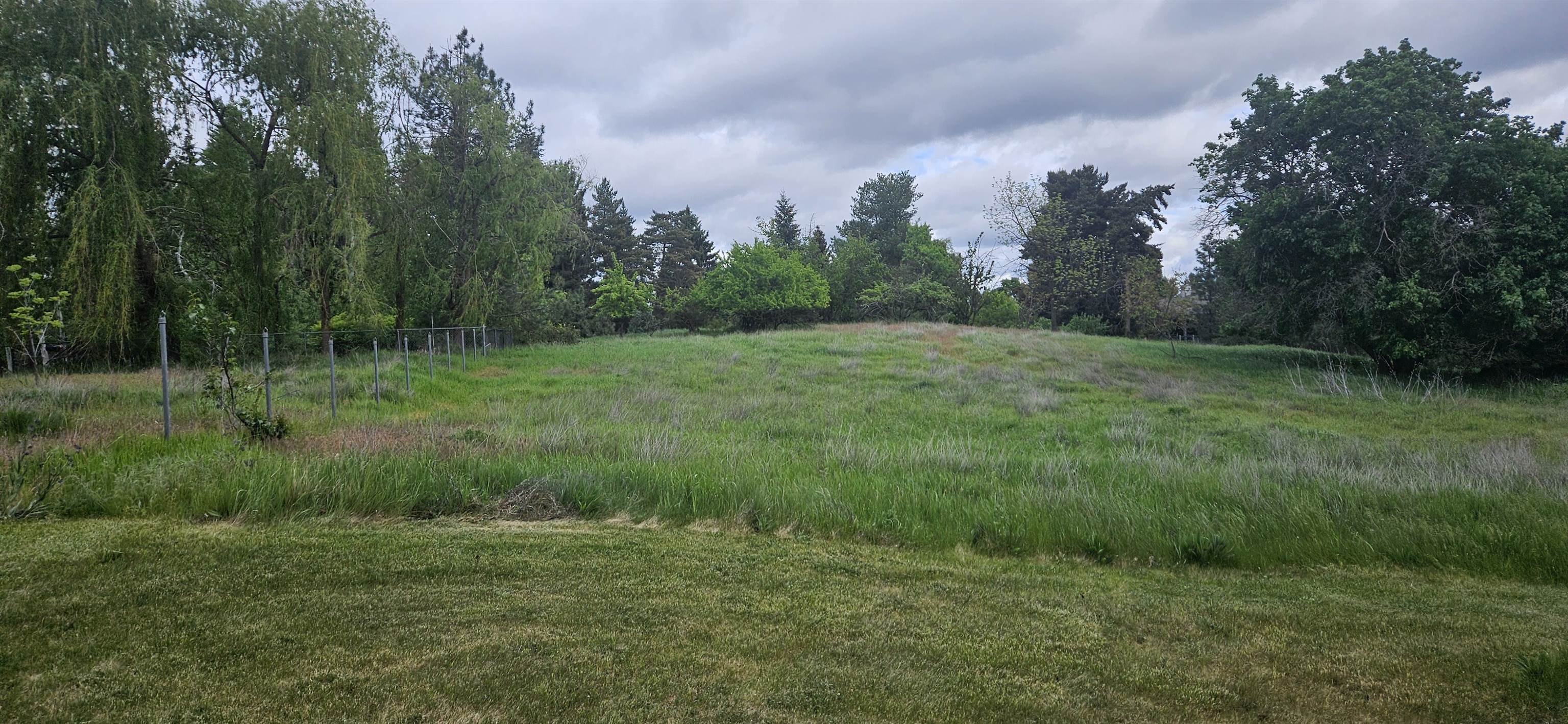 612 W Ivanhoe Rd - Photo 2