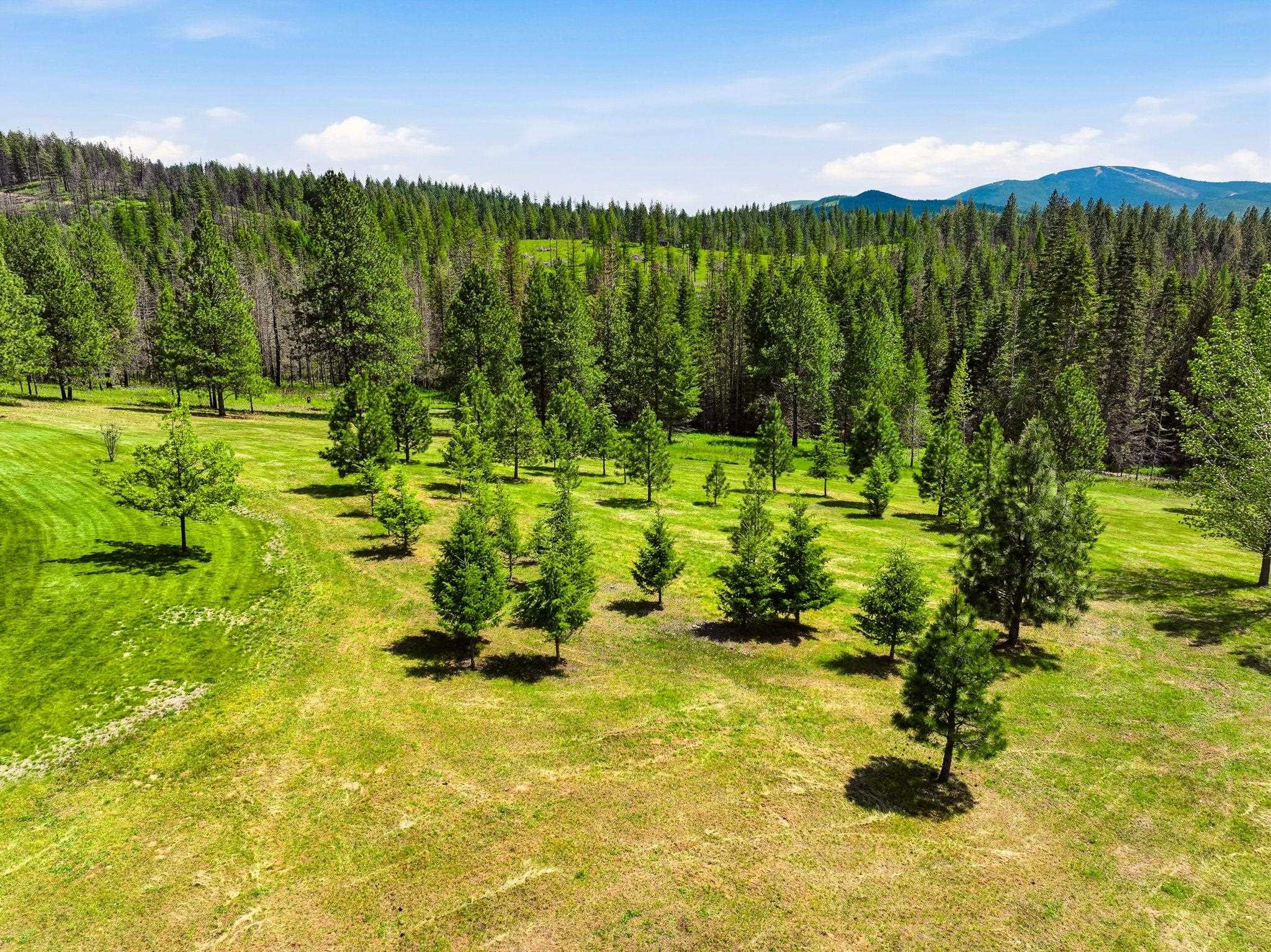 17217 E Walters Rd - Photo 42