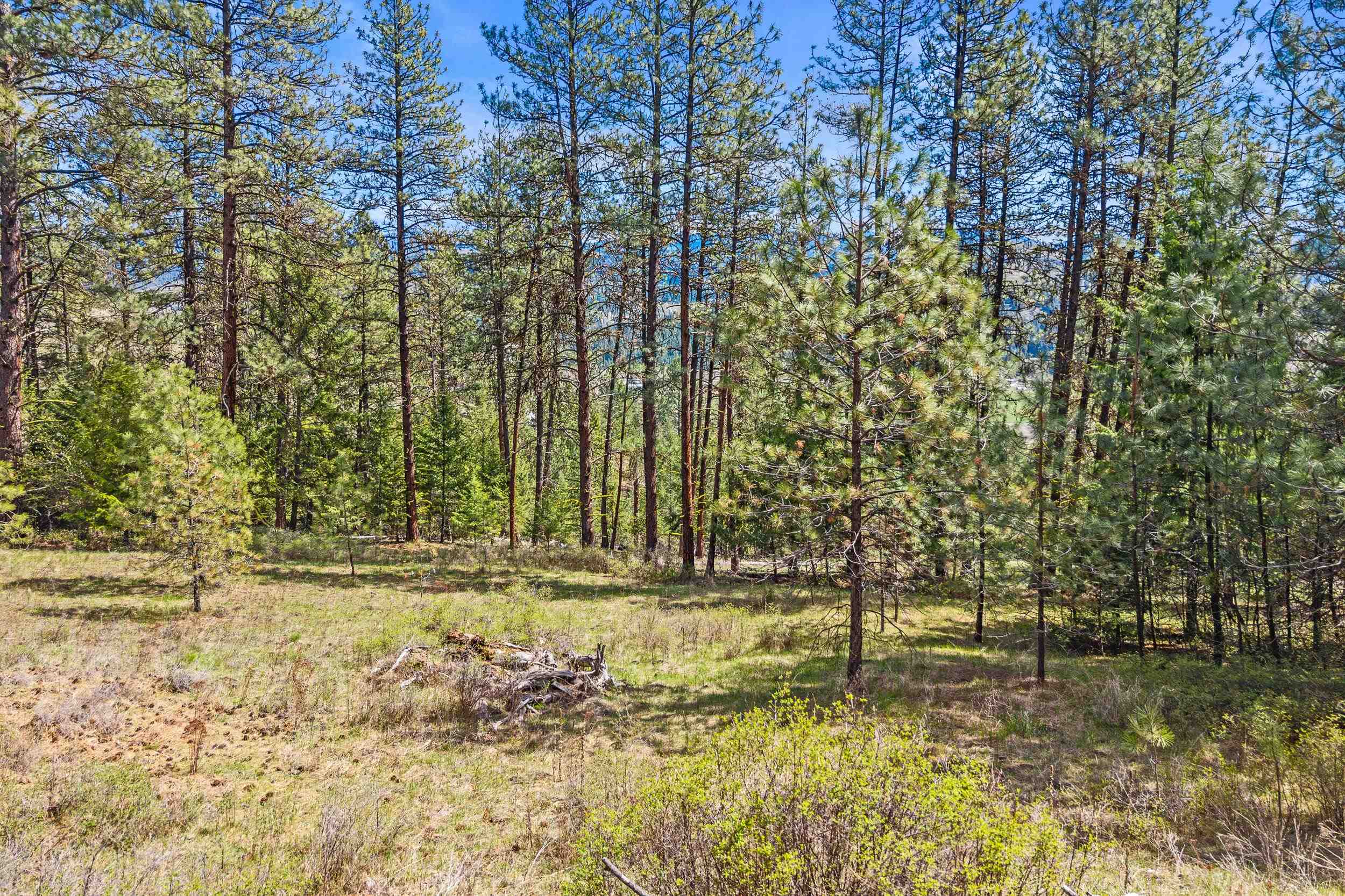 TBD Klondike Rd - Photo 11
