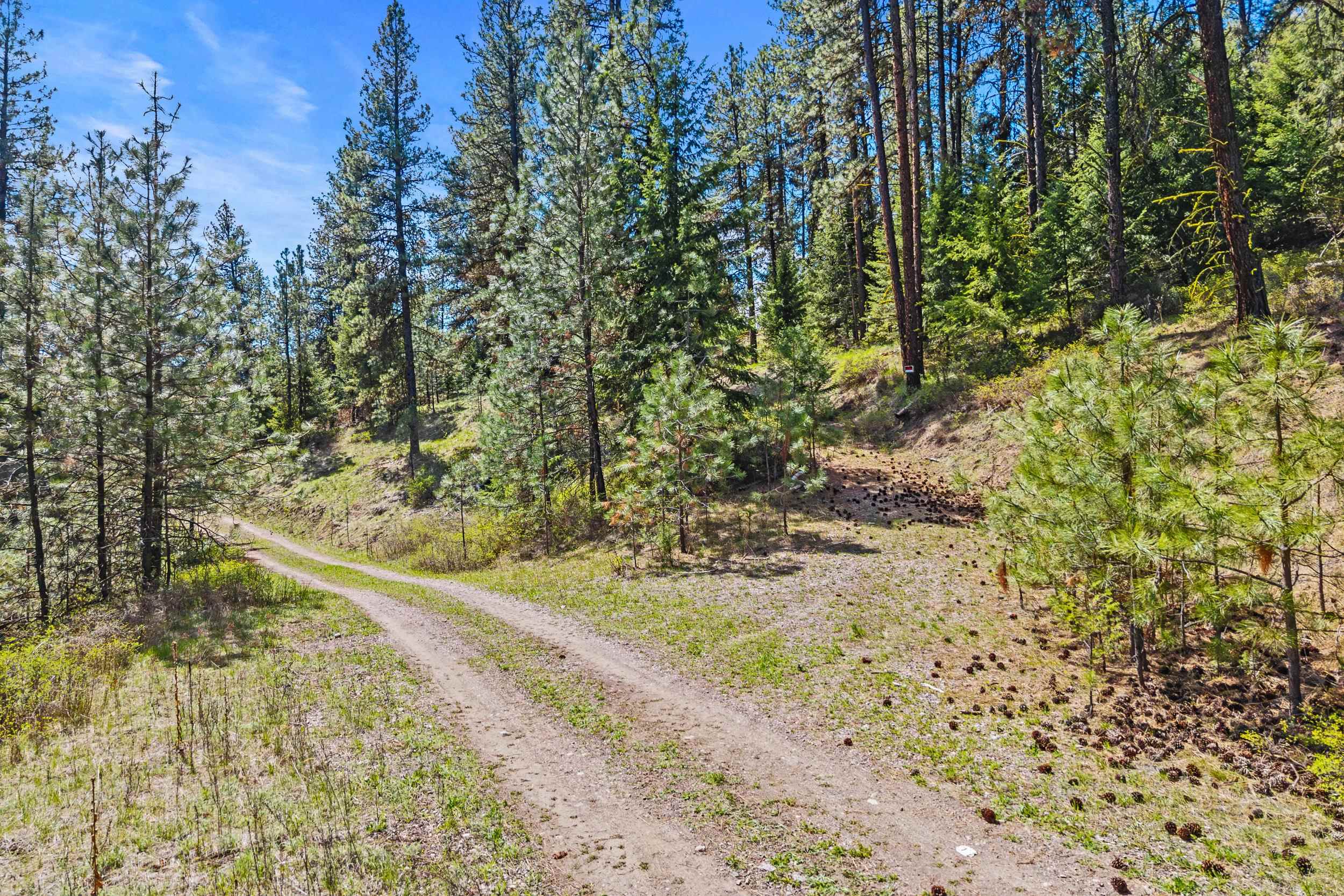 TBD Klondike Rd - Photo 15