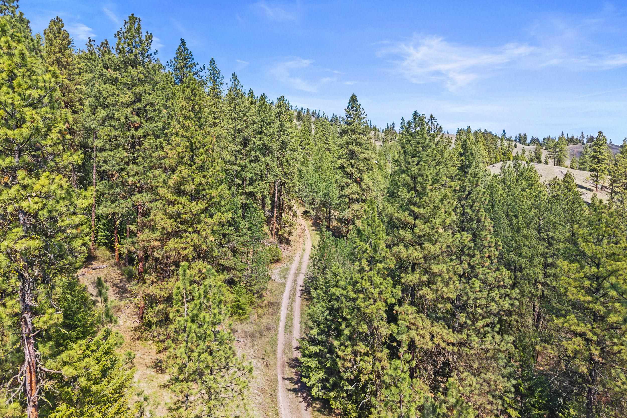 TBD Klondike Rd - Photo 19
