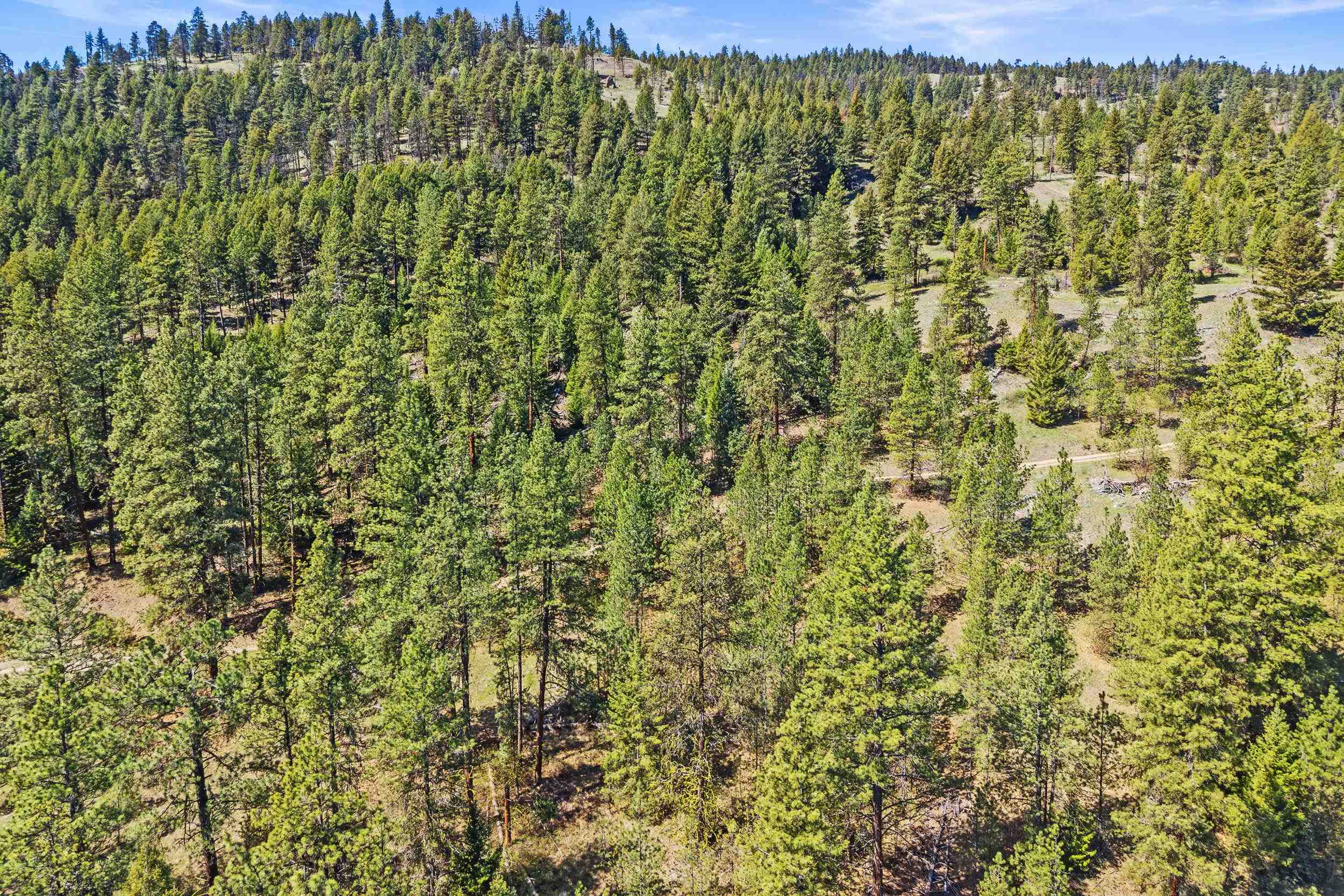 TBD Klondike Rd - Photo 24