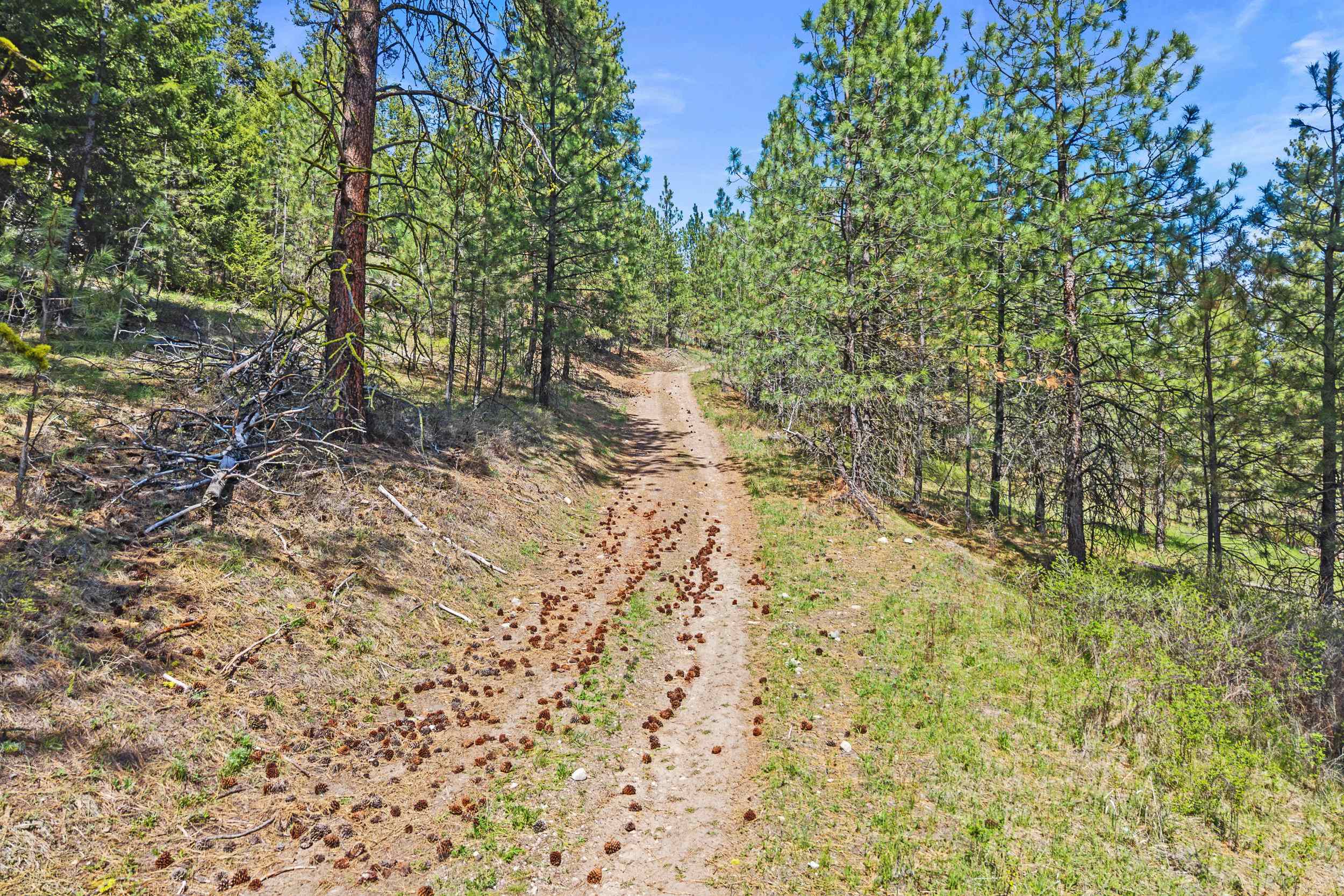 TBD Klondike Rd - Photo 27