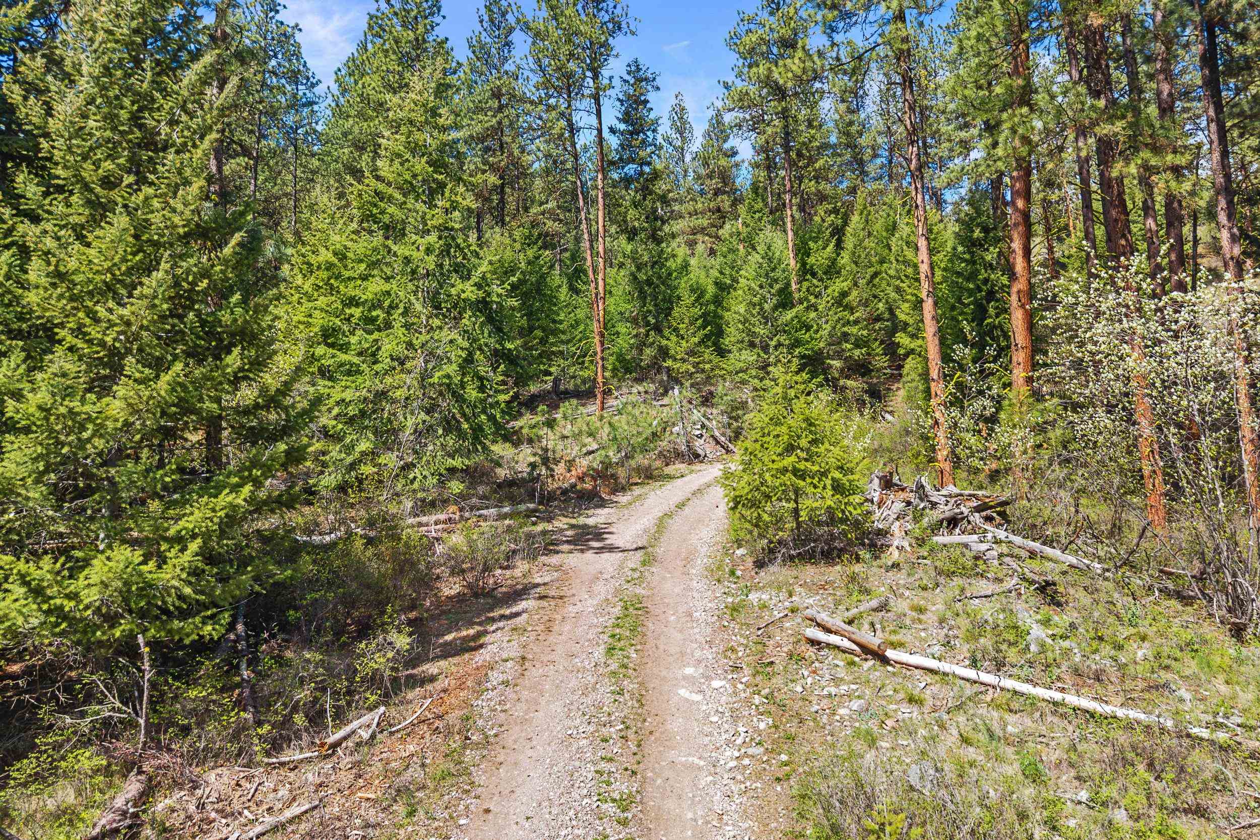 TBD Klondike Rd - Photo 6