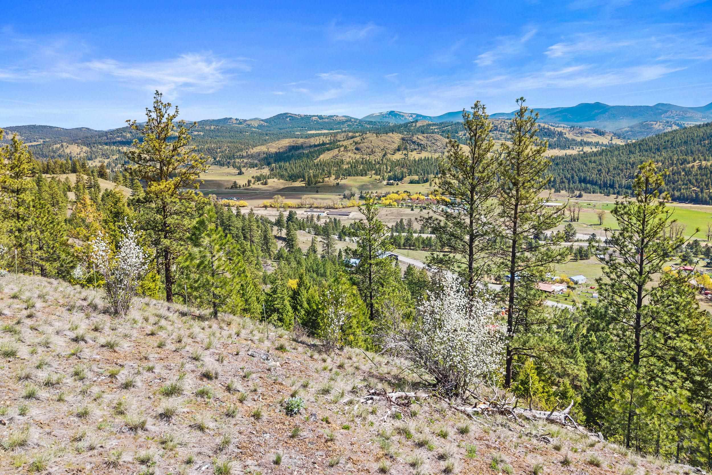 TBD Klondike Rd - Photo 7