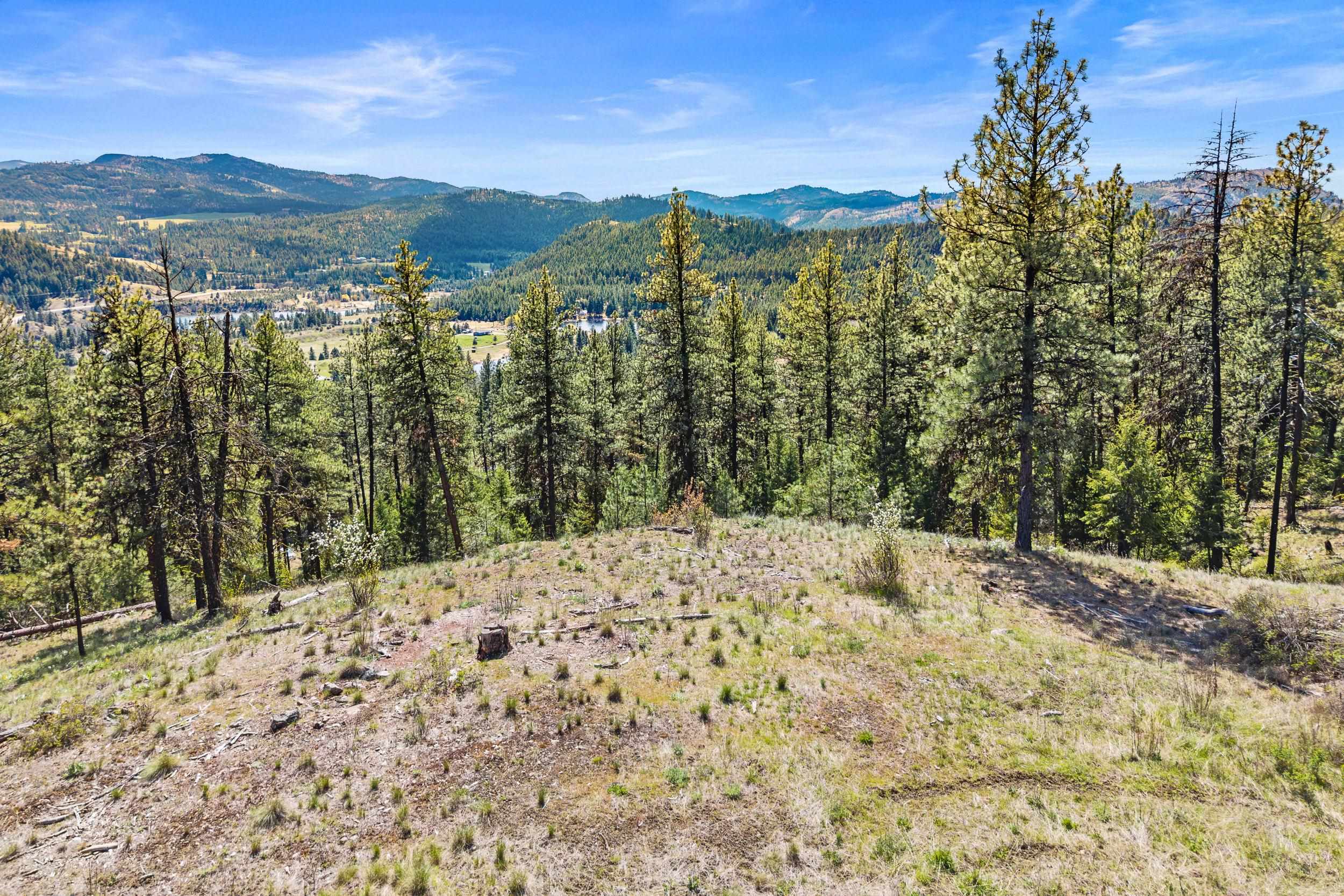 TBD Klondike Rd - Photo 8