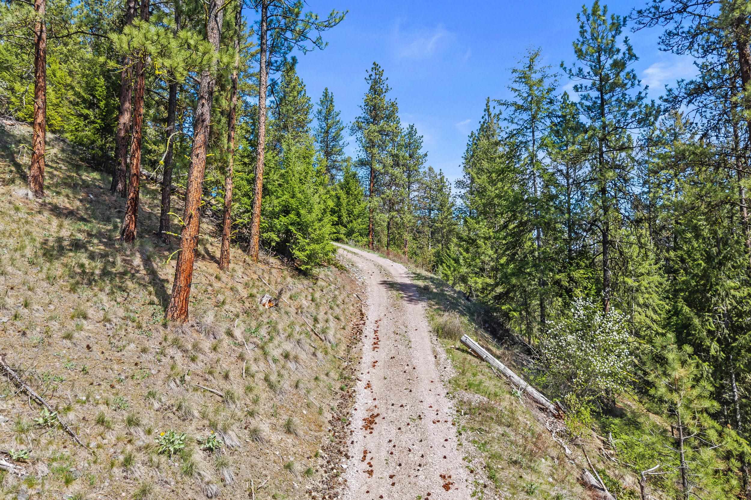 TBD Klondike Rd - Photo 9
