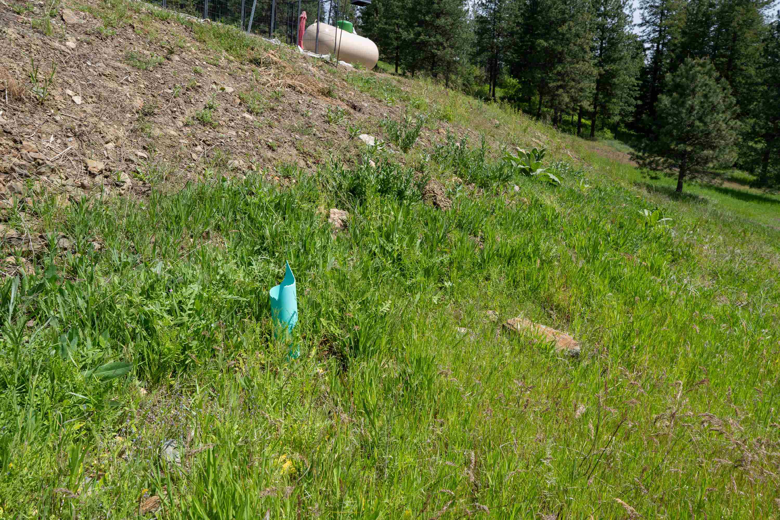 3474 D Waitts Lake Rd - Photo 23