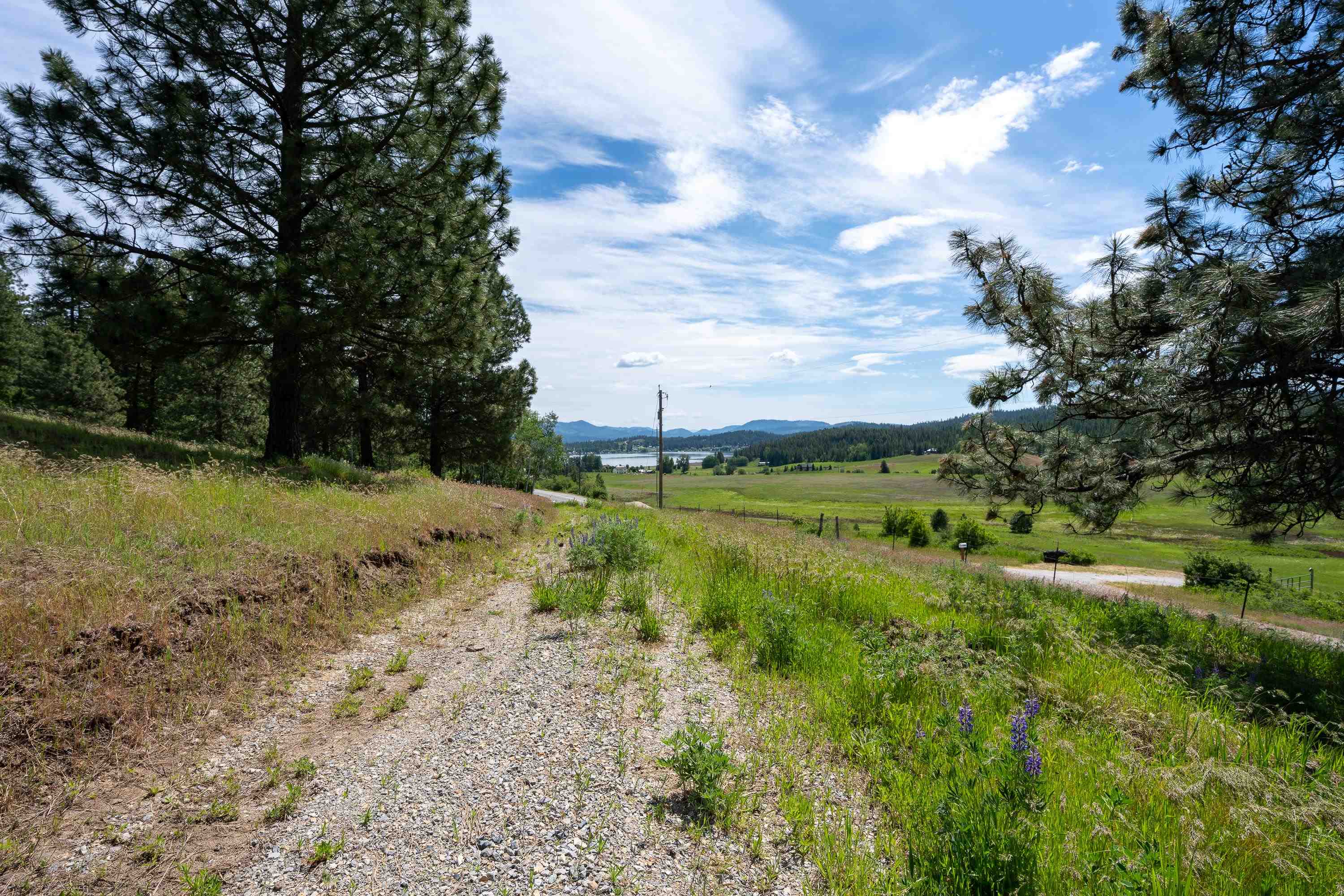 3474 D Waitts Lake Rd - Photo 42