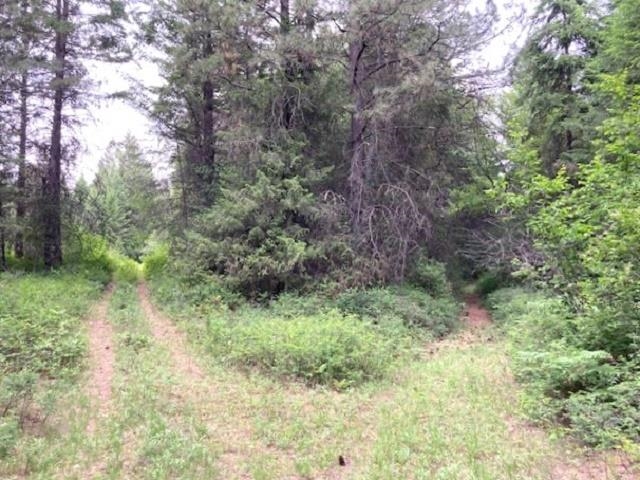 101 W Harter Way - Photo 48