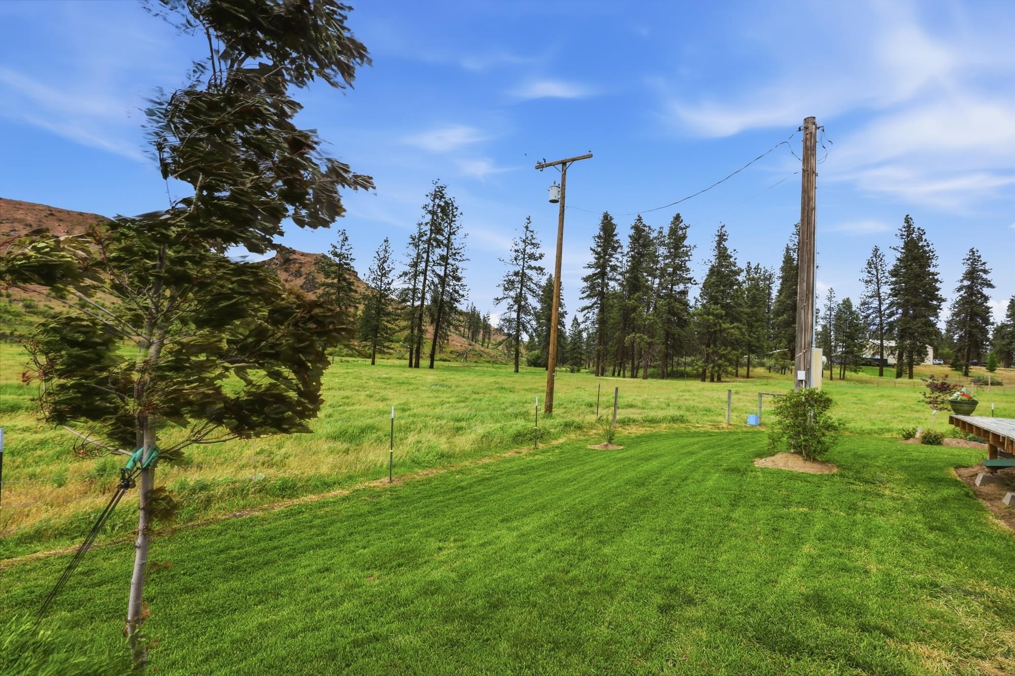 36499 N Teel Hill Rd - Photo 26