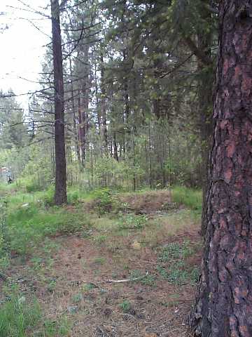 0 N Sheets Road