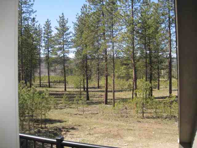 6021  N Bridget - Photo 9