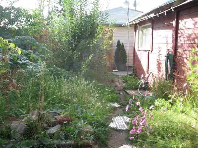2629  E 1st Avenue - Photo 9