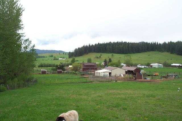 4690 Ranch Rd - Photo 7