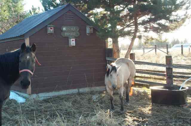 4690 Ranch Rd - Photo 9