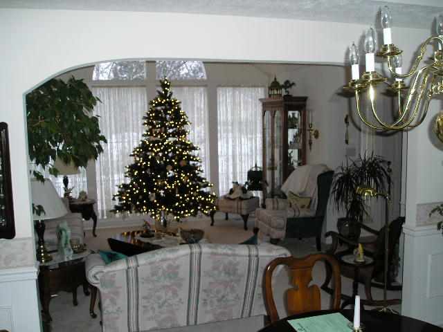 16622  N Cincinnati Ct - Photo 3