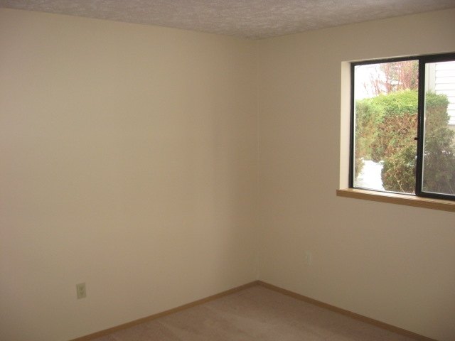 924  E CALKINS Dr - Photo 6