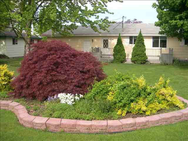 924  N Calvin Rd - Photo 6