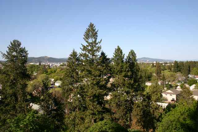 2137  E Altamont Pl - Photo 9