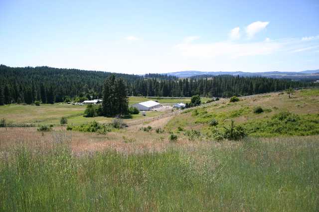 19501  N Kamiakin Trail Ln - Photo 8