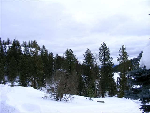 575 Dolomite Rd - Photo 9