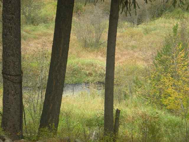 37621  N LAKESIDE - Photo 5