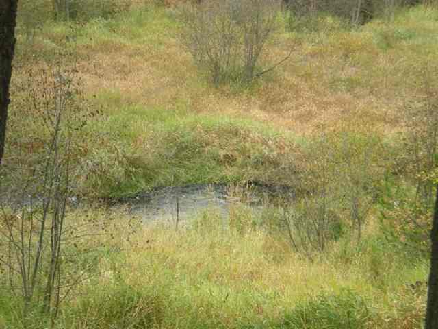 37621  N LAKESIDE - Photo 6