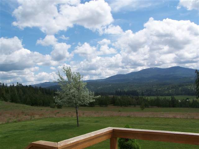 31501  N Fire Valley Ln - Photo 3