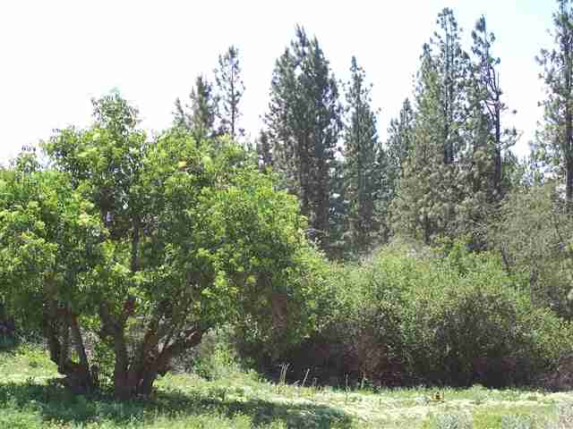 5216 K Lantzy Rd - Photo 6