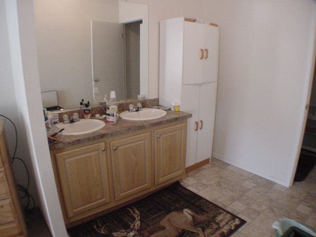 26521 W CARMAN LANE - Photo 4