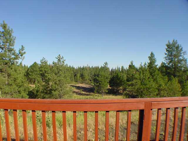 26521 W CARMAN LANE - Photo 6
