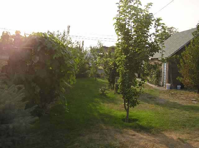 406 S Division - Photo 2