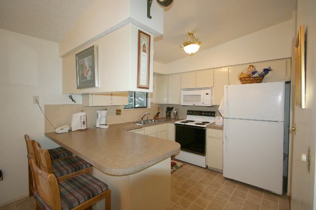 925  E Pinecone Ct - Photo 3