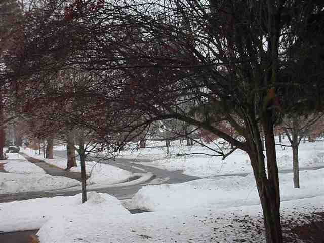 222  W PARK Pl - Photo 9