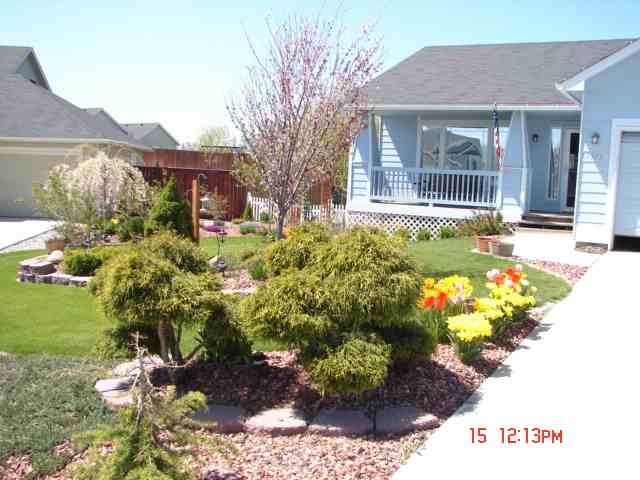 17913  N Addison Ct - Photo 8