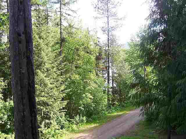 4096 Tamarack Beach Rd - Photo 7